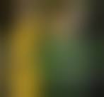 「ヒルデ・シュルツ 宇宙戦艦ヤマト2199」の画像検索結果