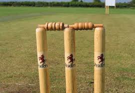 Image result for Bishops Waltham Cricket Club