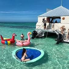 Image result for Looe Diving Club