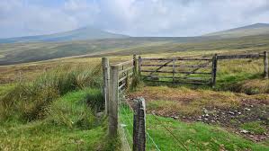 Image result for Ellan Vannin Gc