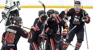 Image result for Northern Hockey Club