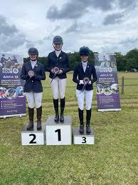 Image result for Chiddingfold Branch Of The Pony Club