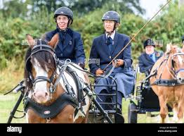 Image result for Hellingly Badminton Club