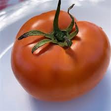 Afbeeldingsresultaat voor caro rich tomato