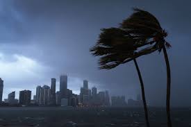 Image result for Hurricanes