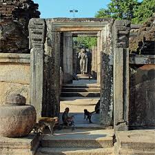 Image result for Полоннарува