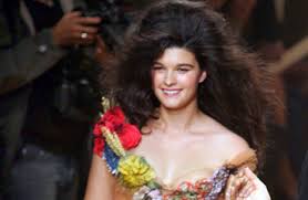 Image result for crystal renn