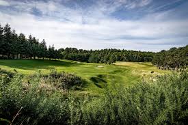 Image result for Elgin Scrabble Club