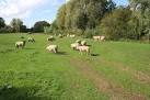 Hay Meadow, Egleton - via Daymix