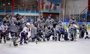 Image result for Milton Keynes Thunder