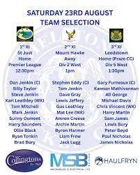 Image result for Helston Cricket Club