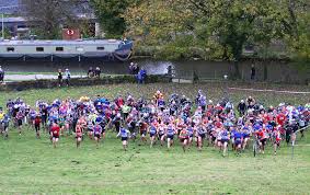 Image result for Bingley Harriers & Athletics Club