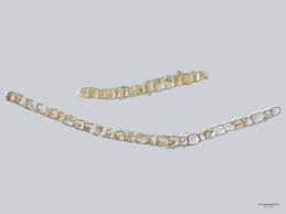 Attēlu rezultāti vaicājumam “Lophozia ascendens”