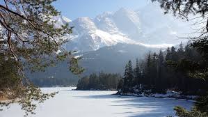 Image result for Steinbrech