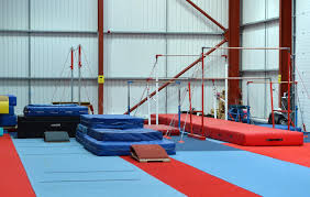 Image result for Sheredes Gymnastics Club