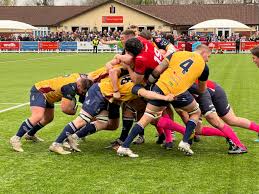 Image result for Chester Rugby Union Football Club