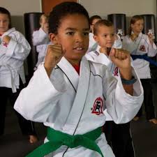 Image result for Ashford School Of Taekwondo