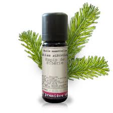 Attēlu rezultāti vaicājumam “Abies sibirica”