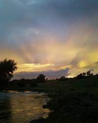 Image result for Swanage & District Angling Club