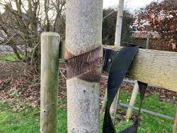 Image result for Bytomic Taekwondo Aylesbury