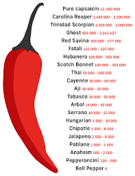 Afbeeldingsresultaat voor chile de arbol hot pepper