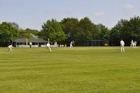 Image result for Bashley (Rydal) Cricket Club