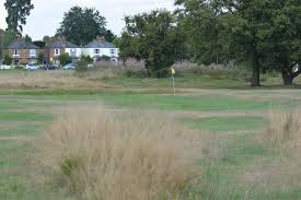 Image result for Thames Ditton & Esher Golf Club