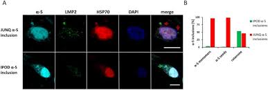 Image result for Calne Alpha 4