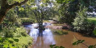 Image result for Hatherleigh Cricket Club