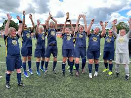 Image result for Braunton Football Club