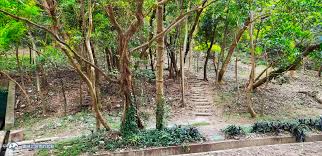 Image result for 水野X68仁義