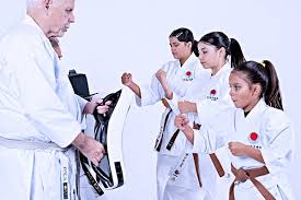 Image result for Martial Arts Karate Mesa AZ