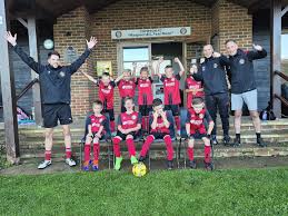 Image result for Compton and Shawford Sports Club