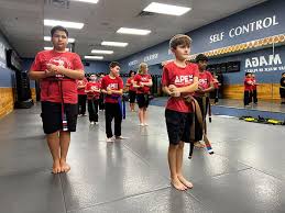 Image result for Weston Academy Of Martial Arts