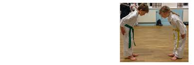 Image result for Uechi-Ryu Karate Do, Hedge End