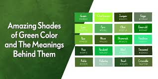 Znalezione obrazy dla zapytania green