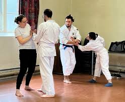 Image result for Bristol Karate Club