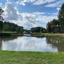 Image result for Downshire Golf Complex