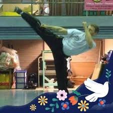 Image result for Kicking Dragon Kung Fu School, Belfast