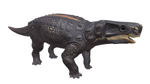 Image result for MINMI