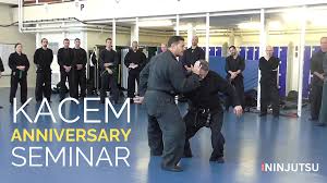 Image result for Bujinkan Dojo Seijitsu