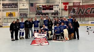 Image result for Walsall Roller Hockey Club