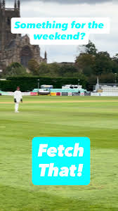 Image result for Wokingx1 Cricket Club