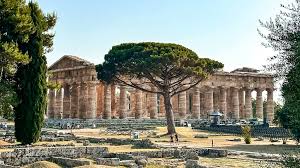Image result for paestum