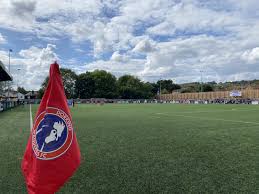 Image result for Dorking Wanderers F C