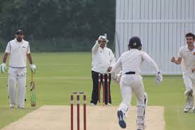 Image result for Hampole & Skelbrooke Cricket Club