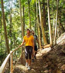 「Mt. Tamborine」的圖片搜尋結果
