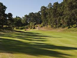 Image result for Hindhead Golf Club