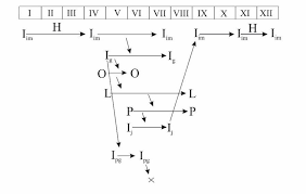Attēlu rezultāti vaicājumam “Anchomenus dorsalis”