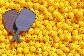 Image result for Holly Lane Badminton Club